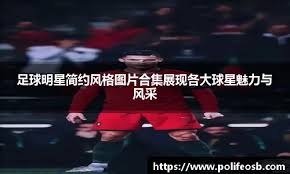 科比喜欢挡拆